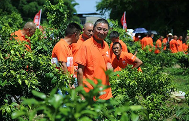 震驚：50元買一只紅蜘蛛？!——這一次，果農們有話要說