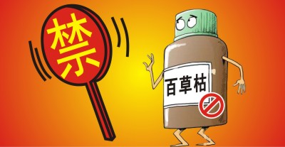 百草枯將被禁用?。繙缟猿輨┦袌鲞M(jìn)入洗牌期，誰能搶占先機(jī)？                   來源于  農(nóng)資與市場  王奕